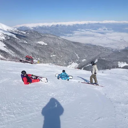 ロイヤル タワーズ ホテル 2*