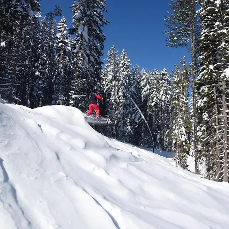 ロイヤル タワーズ