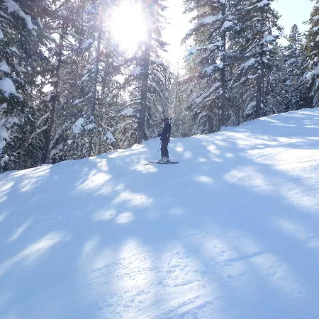 ロイヤル タワーズ ホテル 2*