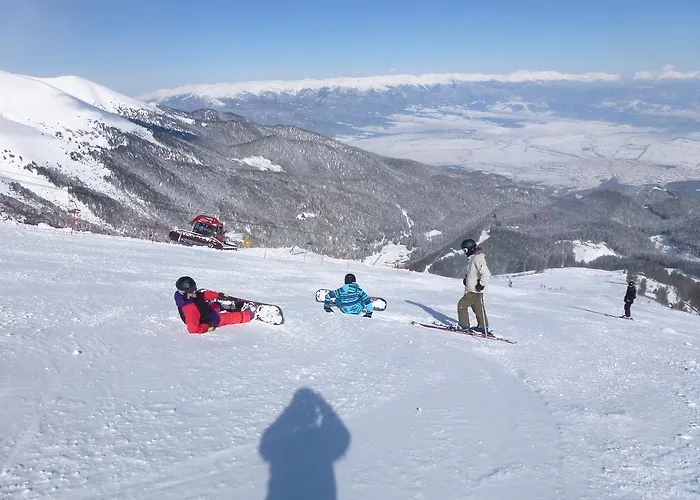 Royal Towers فندق 2*